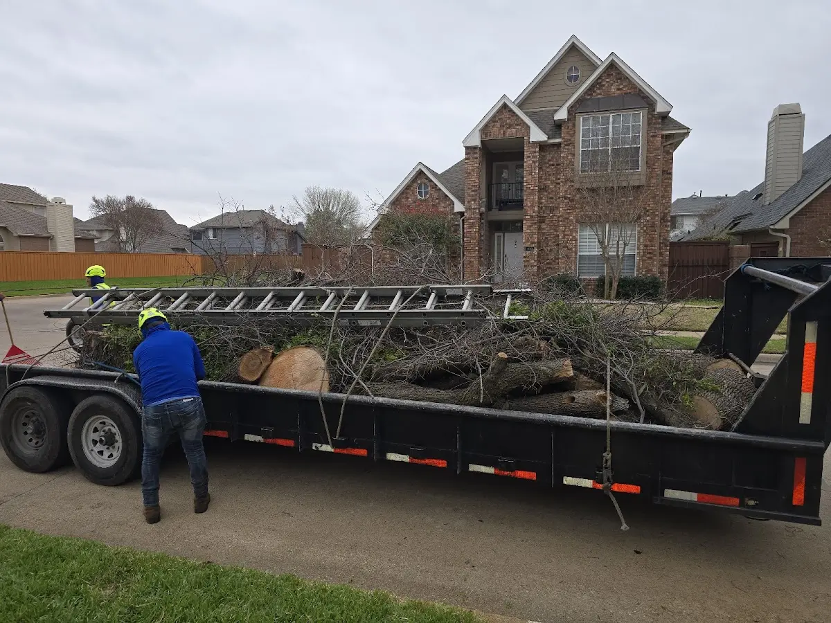 Expert Lot Clearing with proper safety equipment in Warsaw